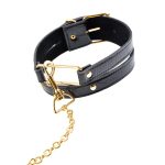 fetish-fantasy-gold-collar-leash-black (1)