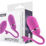 vibrating-egg-with-remote-control-odise-usb-silicone-pink