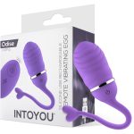 vibrating-egg-with-remote-control-odise-usb-silicone-purple (4)