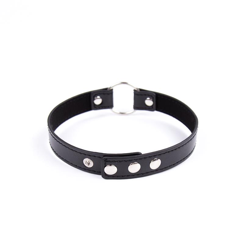 2-collar-with-hoop-adjustable-382-cm-black