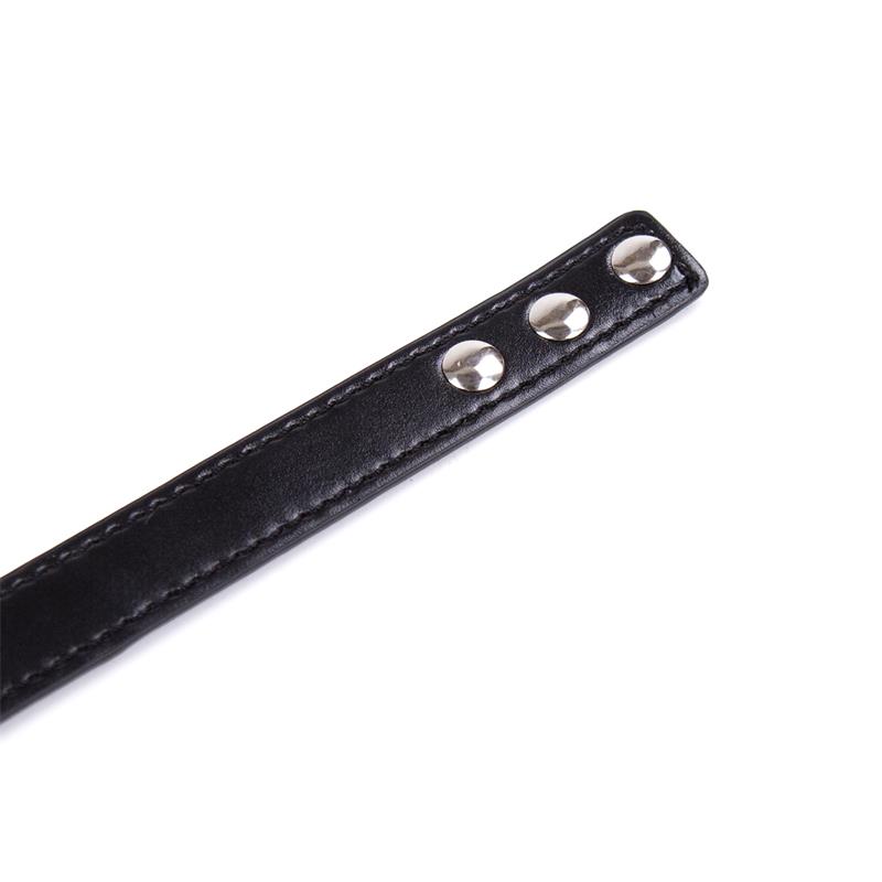 4-collar-with-hoop-adjustable-382-cm-black