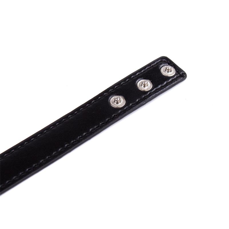 5-collar-with-hoop-adjustable-382-cm-black