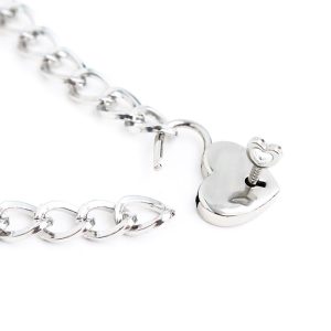 FETISH ADDICT COLLAR WITH METAL LOCK SIZE M 44cm - ΜΕΤΑΛΛΙΚΟ ΚΟΛΑΡΟ ΜΕ ΚΛΕΙΔΑΡΙΑ - Image 3