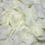 DIABLO PICANTE 100 VANILLA PETALS