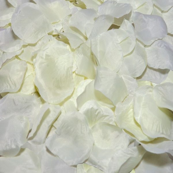 img_114419_3a5d7c8b1aa1a01ddcf02e95374b5a44_1 DIABLO PICANTE 100 VANILLA PETALS