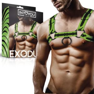 INTOYOU SHINING LINE GLOW IN THE DARK BONDAGE CHEST HARNESS