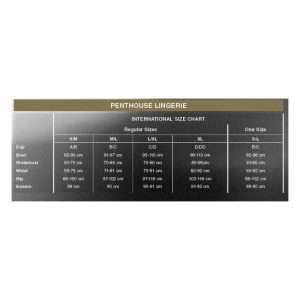BABYDOLL AFTER SUNSET BLACK L/XL | PENTHOUSE - Image 4