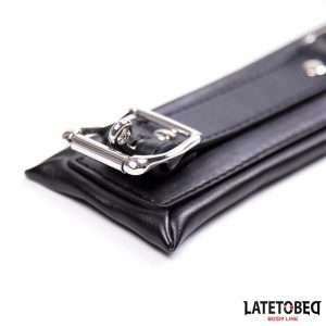 Padded Collar with Leash | LATETOBED BDSM LINE - Image 3